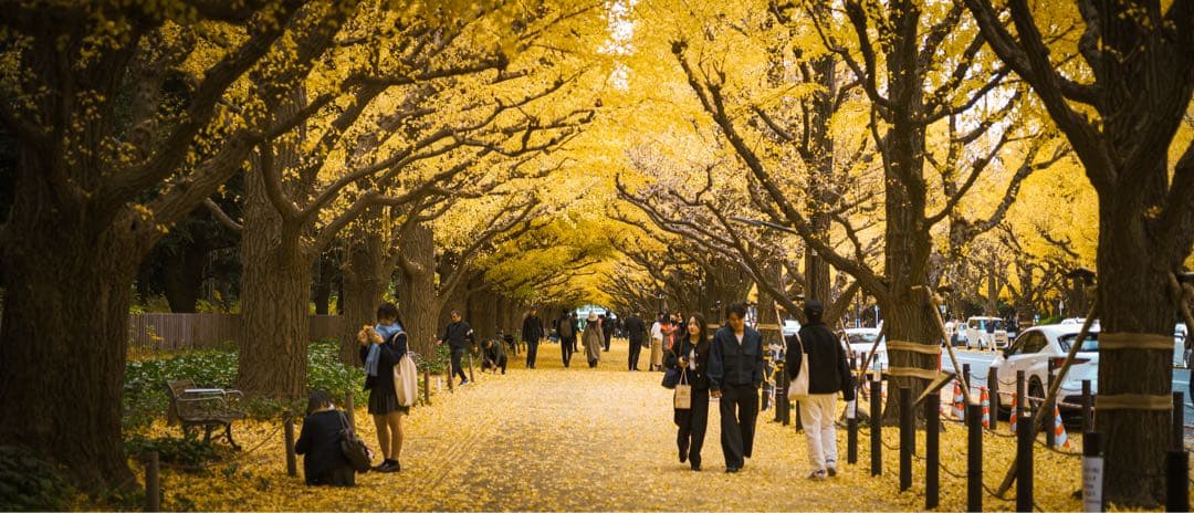 レンズ(単焦点) KONICA M-HEXANON 90mm F2.8