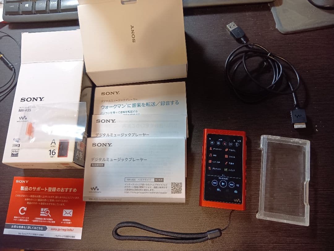箱付き動作美品 SONY ウォークマン NW-A55 16GB