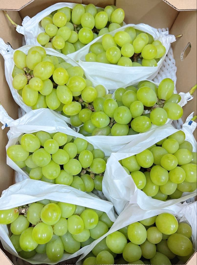 希少品種　ジュエルマスカット　甘い秀品　種無しぶどう