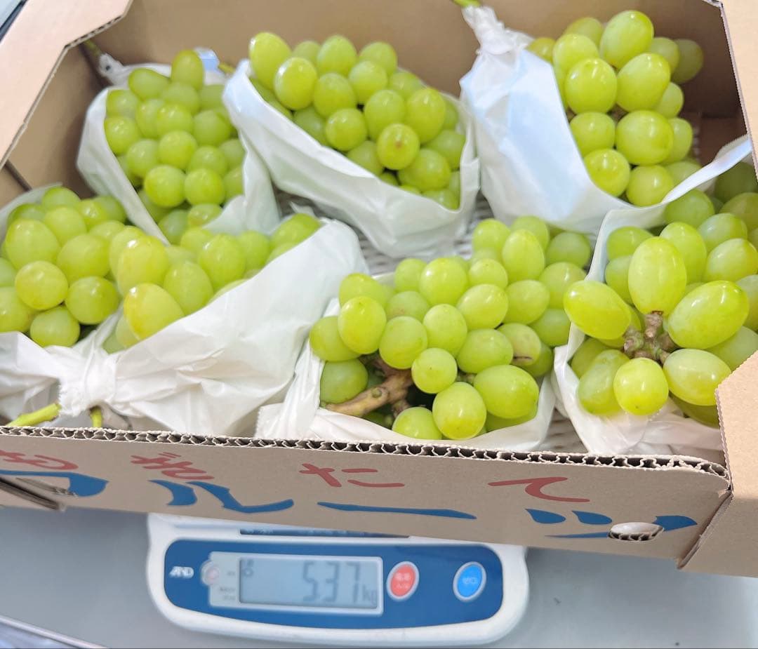 希少品種　ジュエルマスカット　甘い秀品　種無しぶどう