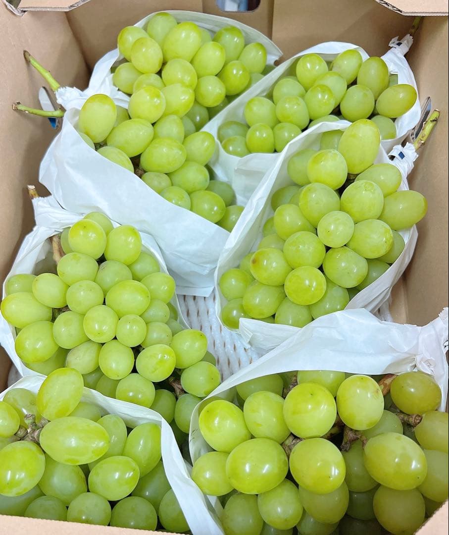 希少品種　ジュエルマスカット　甘い秀品　種無しぶどう