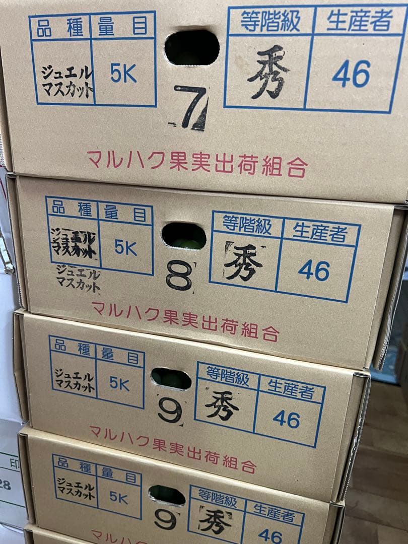 希少品種　ジュエルマスカット　甘い秀品　種無しぶどう