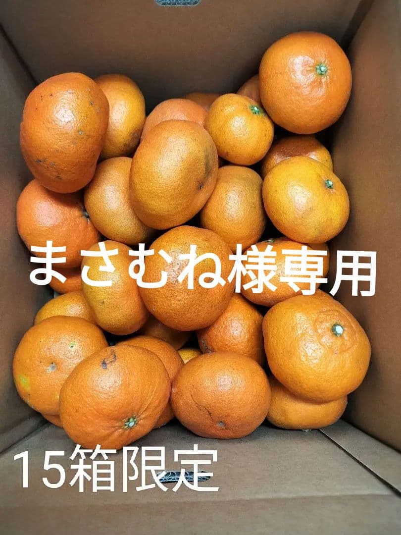 甘平　箱込20キロ　　サイズバラM〜3L　愛媛県松山市産