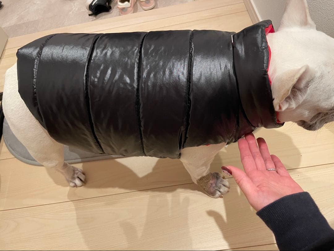 シェリー　モンクレール犬用ダウン　MONCLER