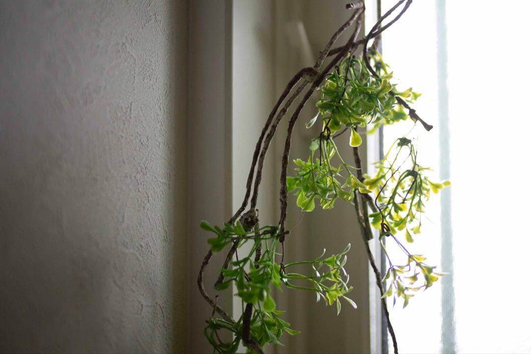 【試写あり】canon EF 35mm f/2