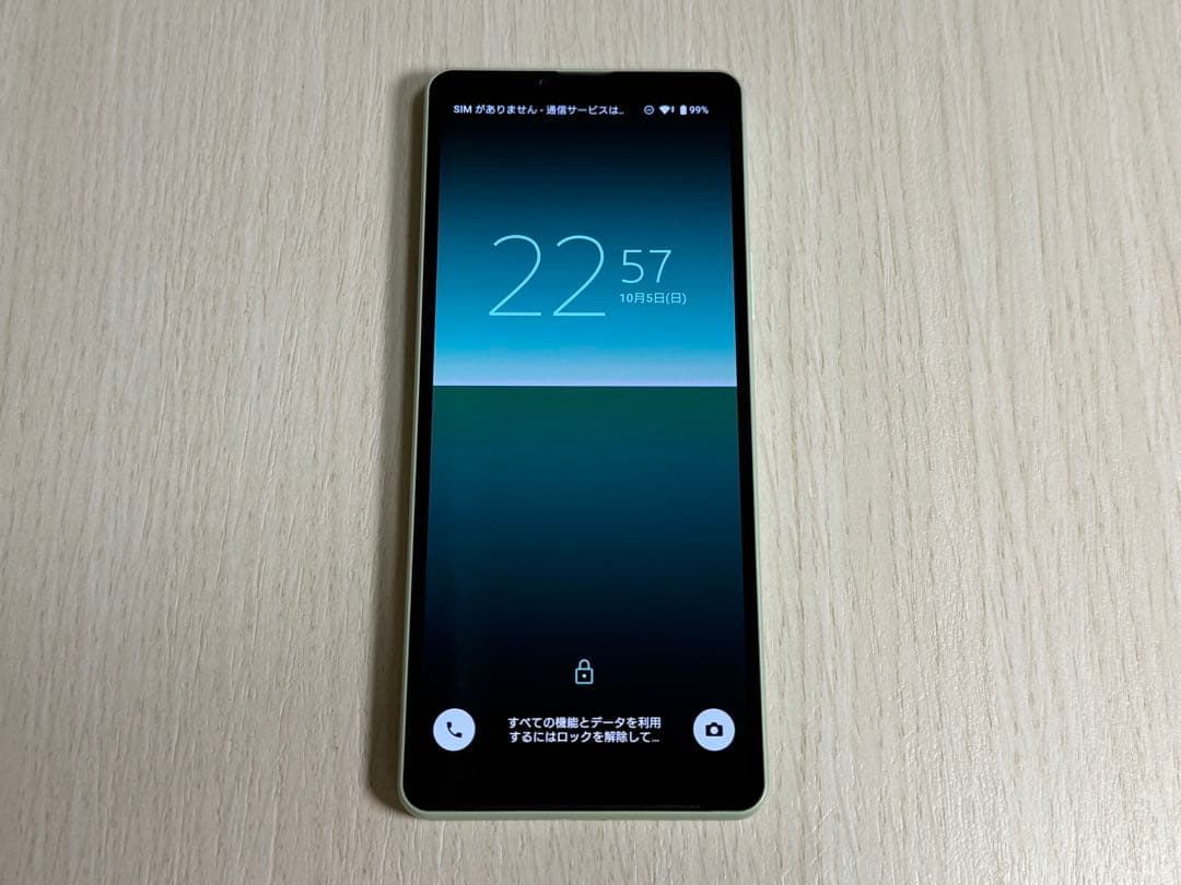 Xperia 10 V XQ-DC44 楽天SIMフリー[美品]