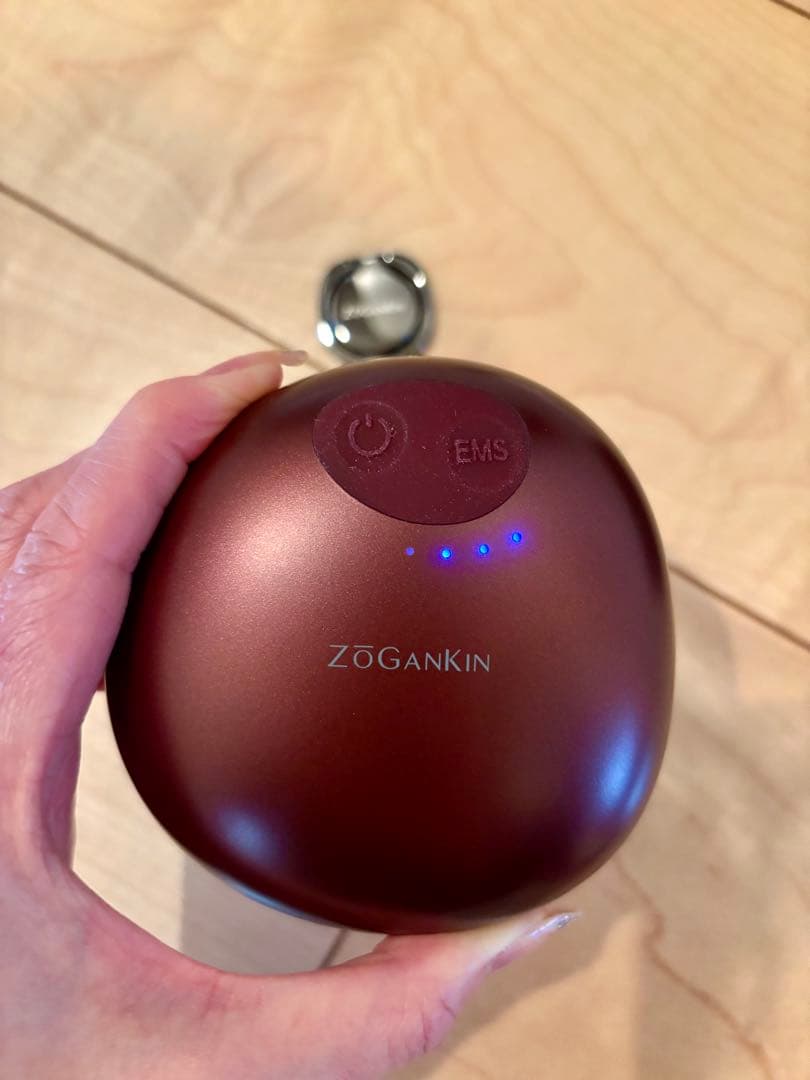【美品】ZOGANKIN ゾーガンキンスカルプ
