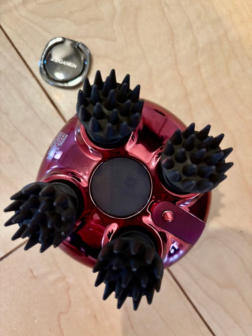 【美品】ZOGANKIN ゾーガンキンスカルプ