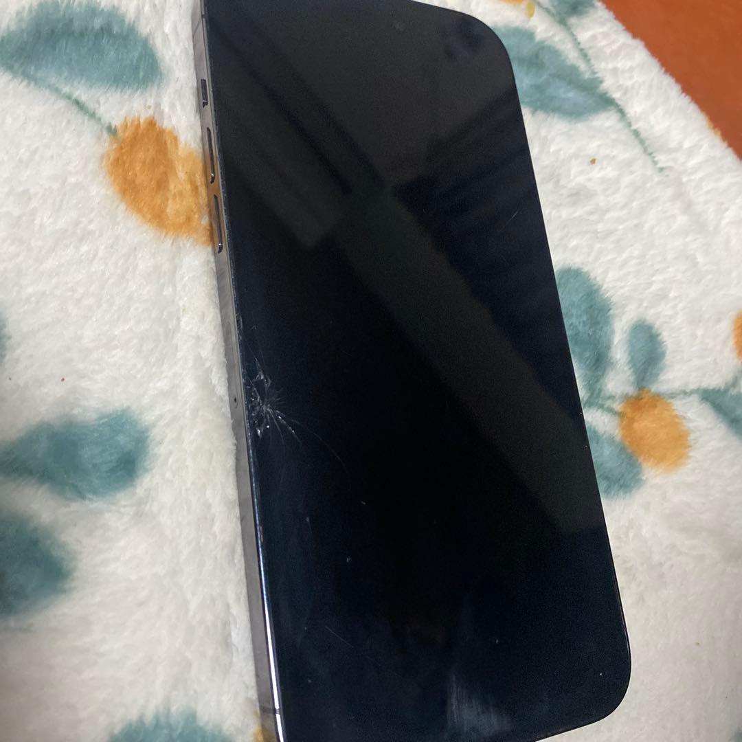 前*島様 iPhone 14 Pro Max 256GB