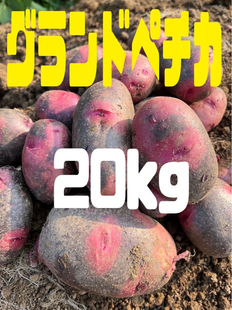 じゃがいもグランドペチカ20kg