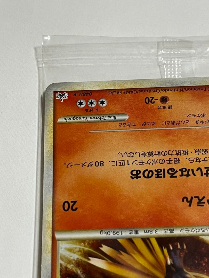 WCS2010 プロモ　未開封　ルギア　ホウオウ