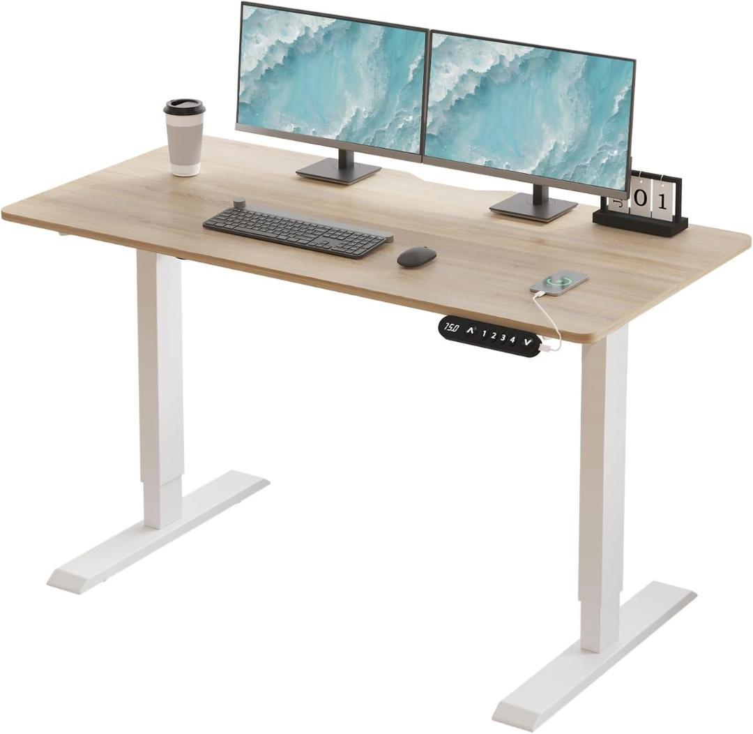 Radlove デスク 昇降式 パソコンデスク ゲーミングデスク