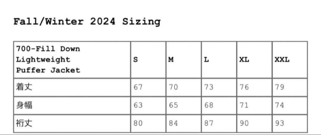 Supreme 700Fill Down Puffer Jacket ダウン L