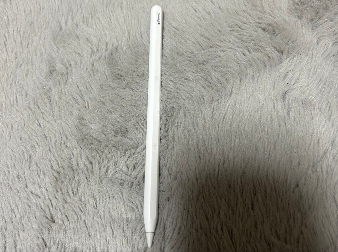 q*u様 iPad Pro 第6世代 12.9インチ 128gb WiFiモデル