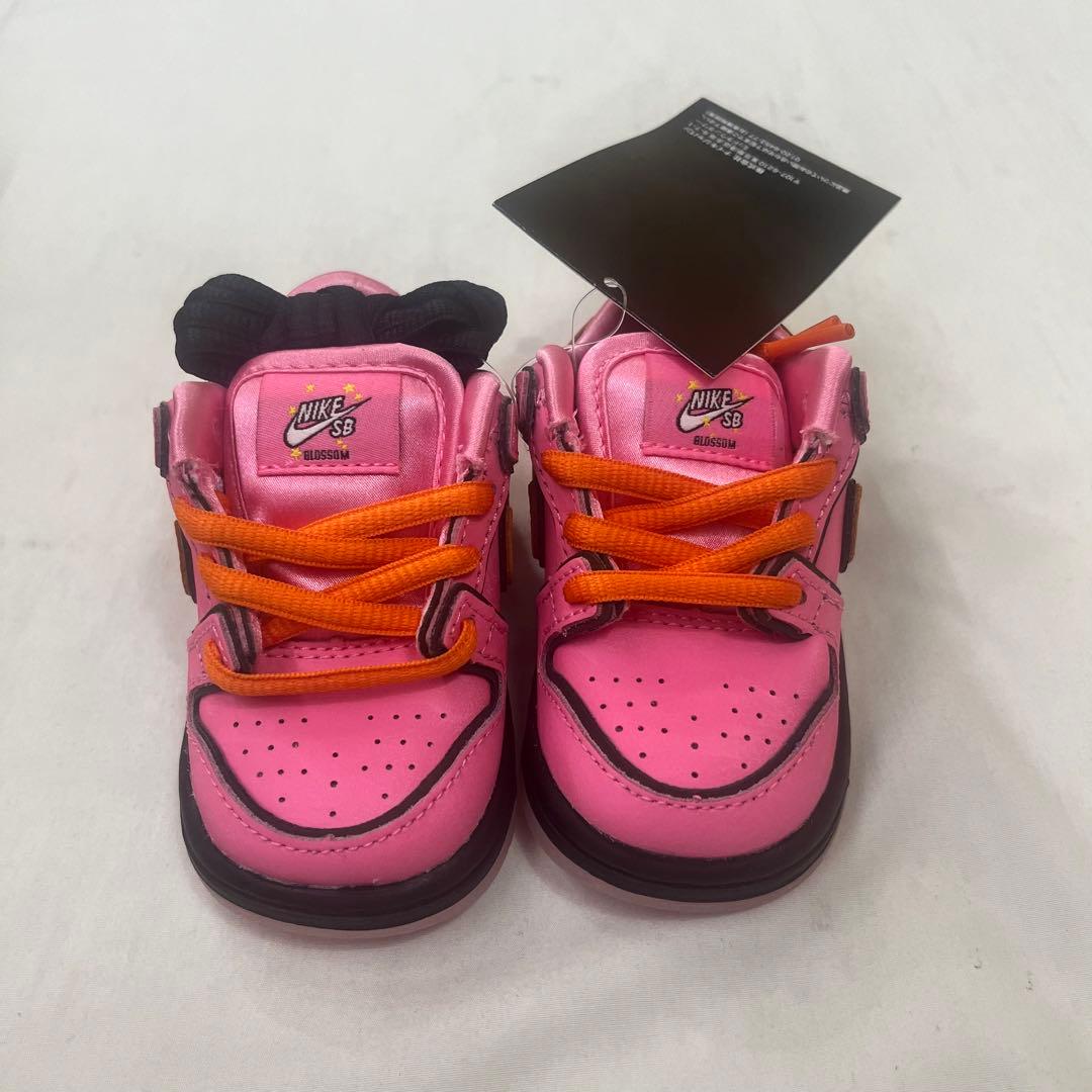 【専用】Nike ナイキ ダンクロー ブロッサム パワーパフガールズ 10cm