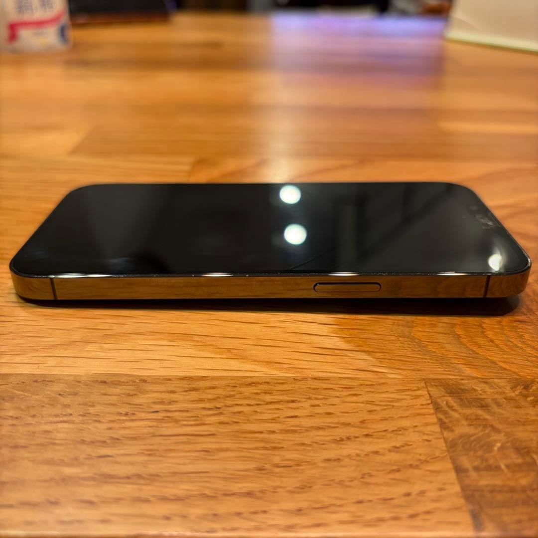 Apple iPhone 13Pro 256GB グラファイト