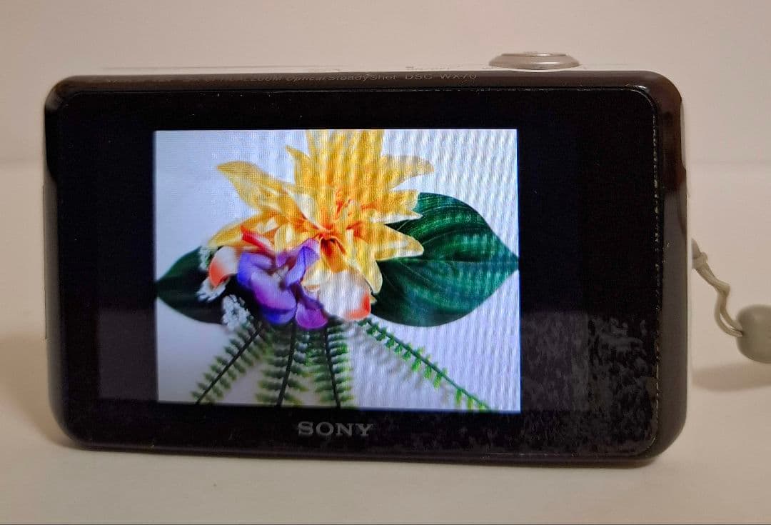 ソニー SONY Cyber-Shot DSC-WX70 デジタルカメラ