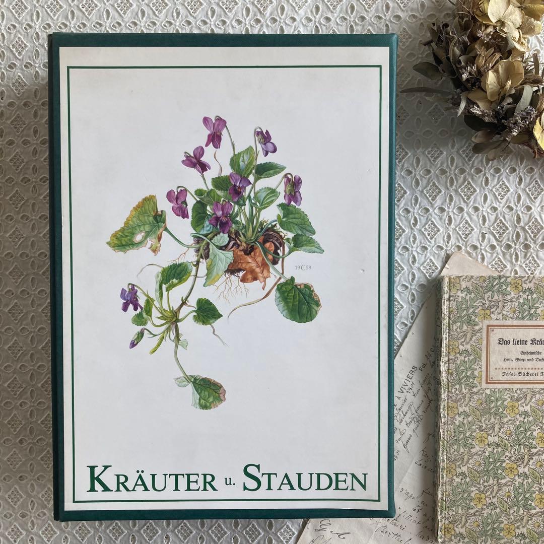 L938洋書古書1957年ドイツ発行美しい植物画プレートが168枚入った植物図鑑