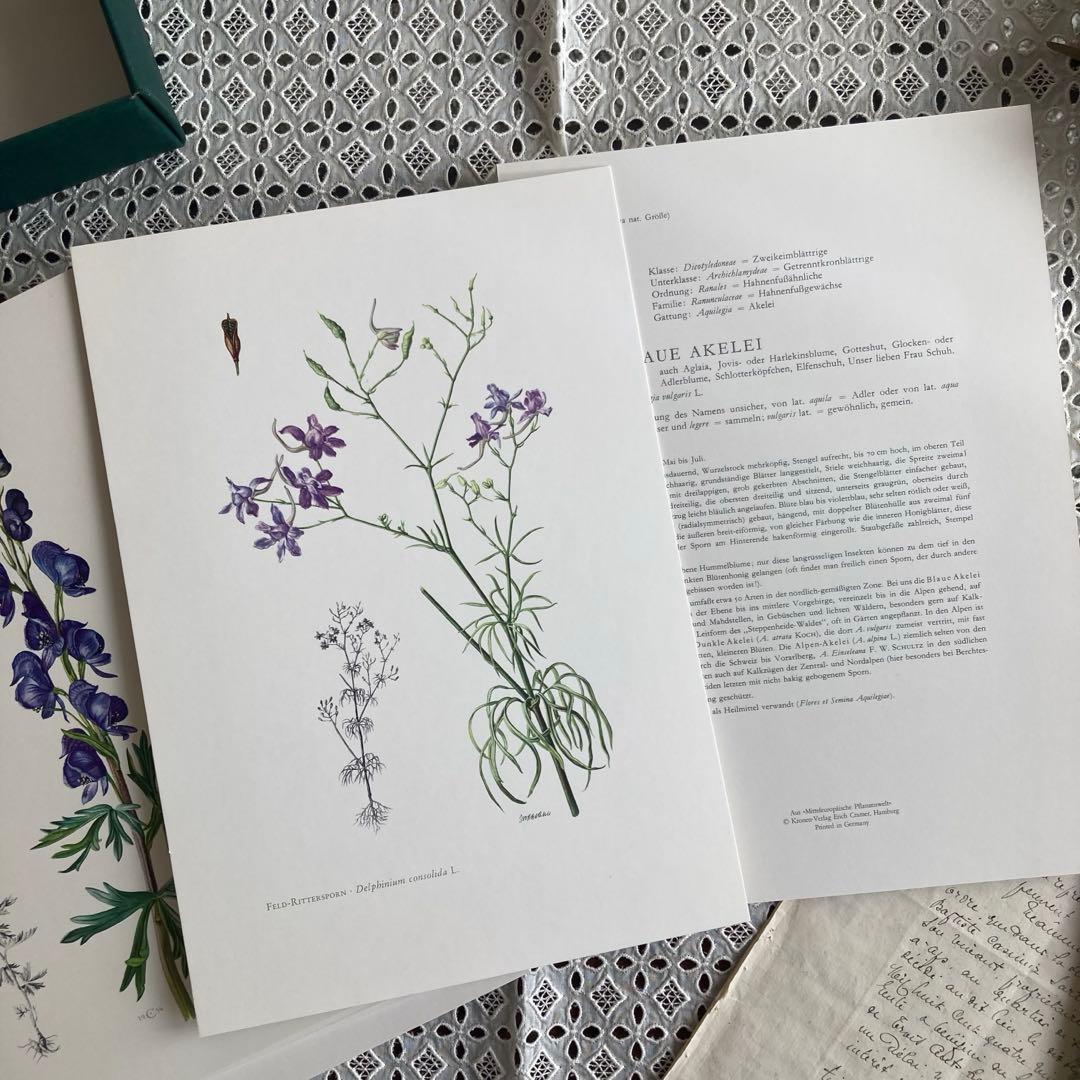 L938洋書古書1957年ドイツ発行美しい植物画プレートが168枚入った植物図鑑