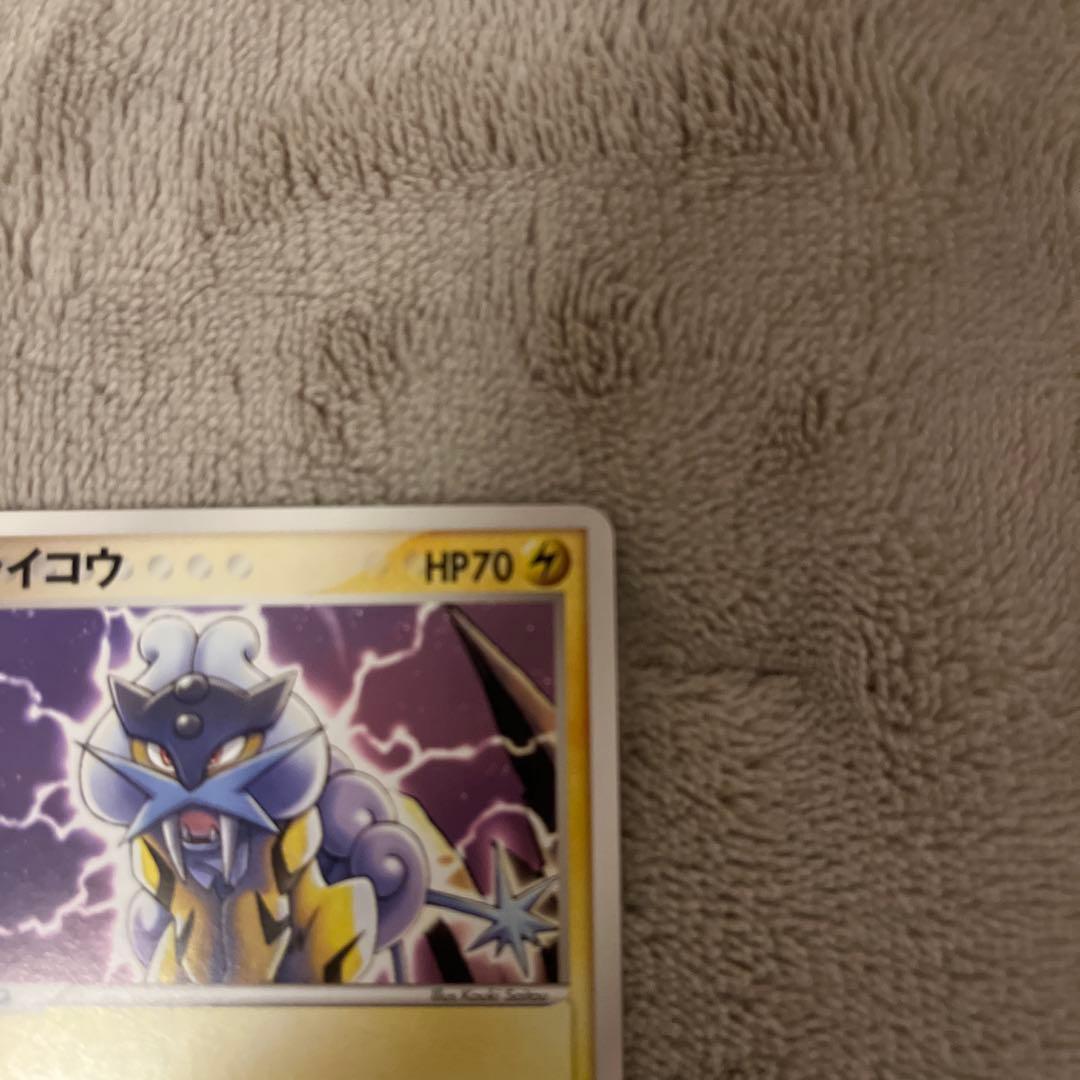 ライコウ ポケパークプレミアムファイル 005/009