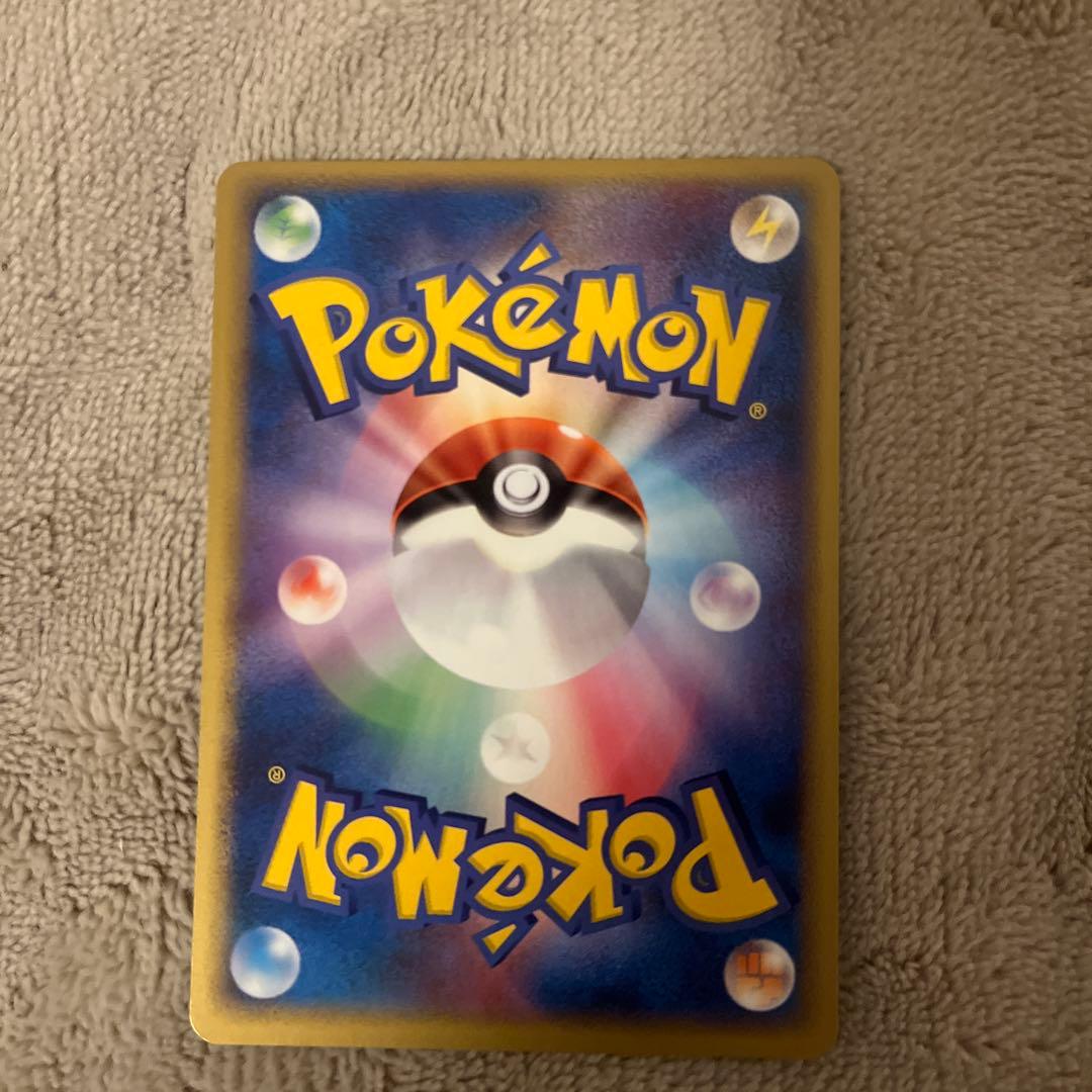 ライコウ ポケパークプレミアムファイル 005/009