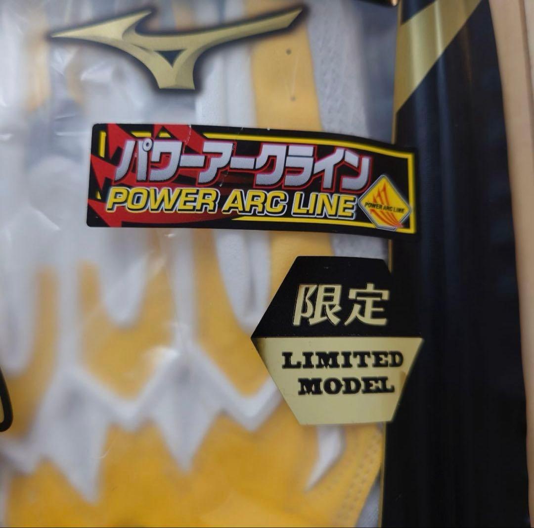 ミズノプロバッティンググローブ(両手用)