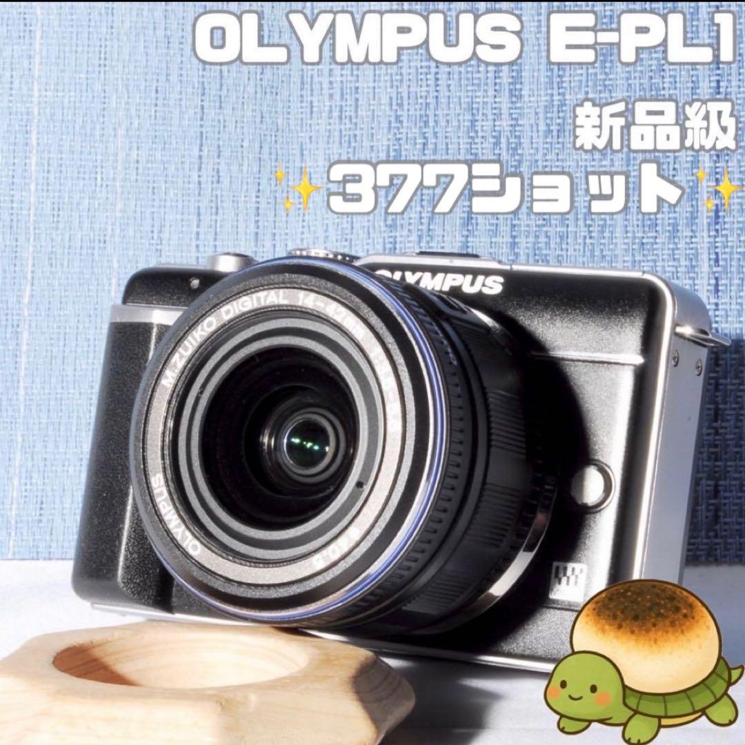 初心者向け✨Olympus PEN E-PL1 ミラーレスカメラ ✨スマホ転送