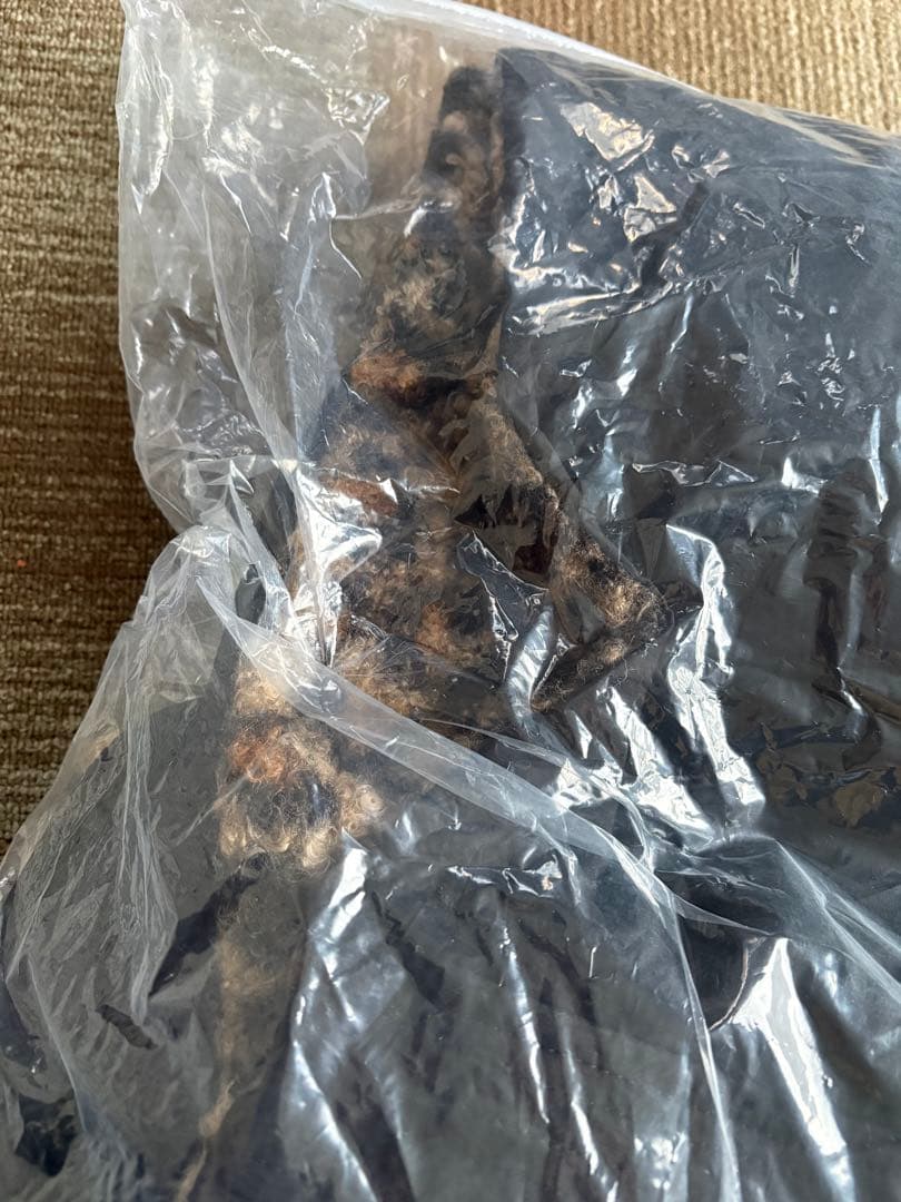 sudo 即完売 2way coat「leo sheep」リバーシブル