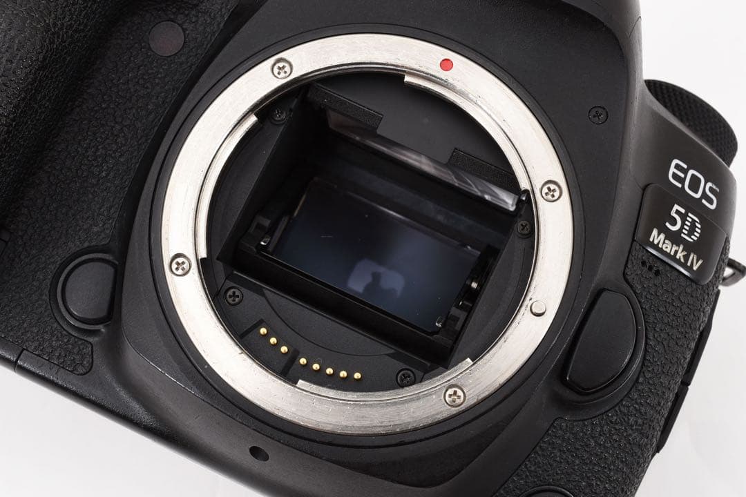 Canon EOS 5D MARK IV標準&望遠ダブルレンズセット