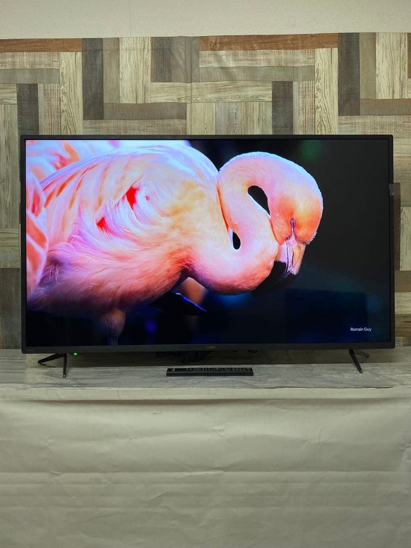 即日受渡❣️全国送料込昨年購入アイリスオーヤマ 50型4K液晶モニタースピーカー付