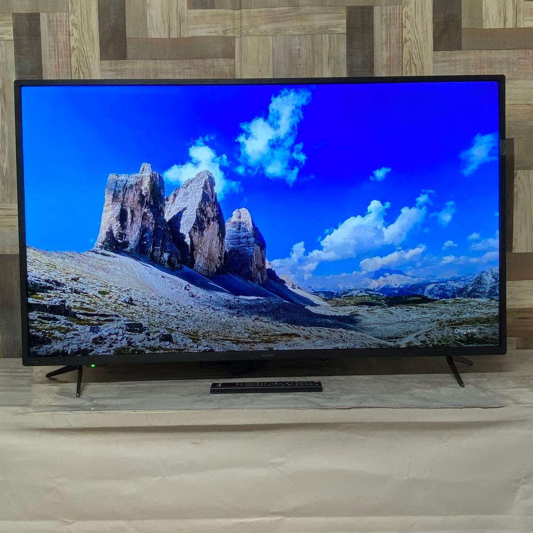 即日受渡❣️全国送料込昨年購入アイリスオーヤマ 50型4K液晶モニタースピーカー付