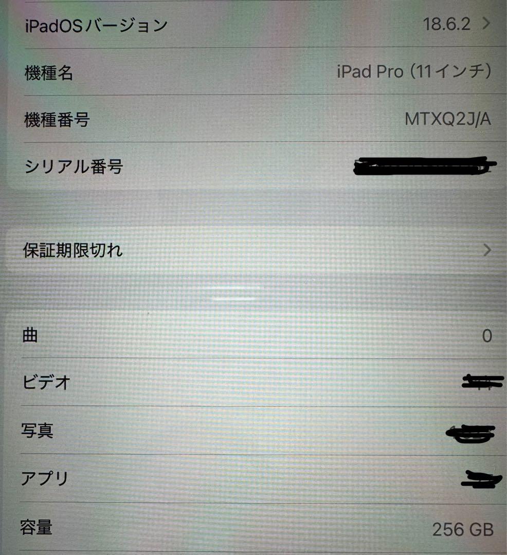 iPad Pro 11インチ Wi-Fiモデル スペースグレー 本体 おまけ付