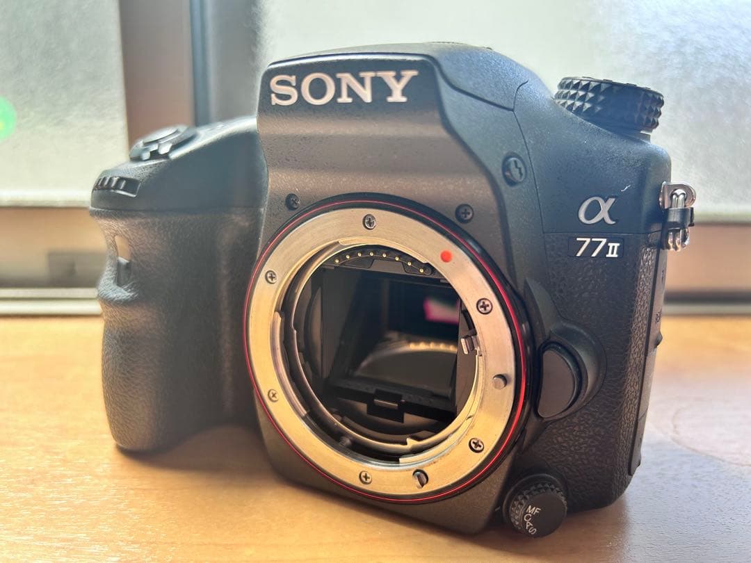 SONY α77IIとMINOLTA 50mmf1.4