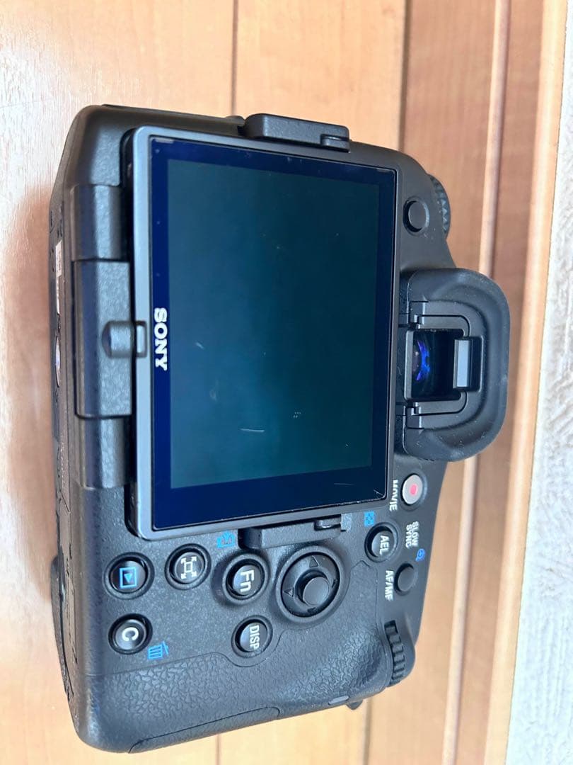 SONY α77IIとMINOLTA 50mmf1.4