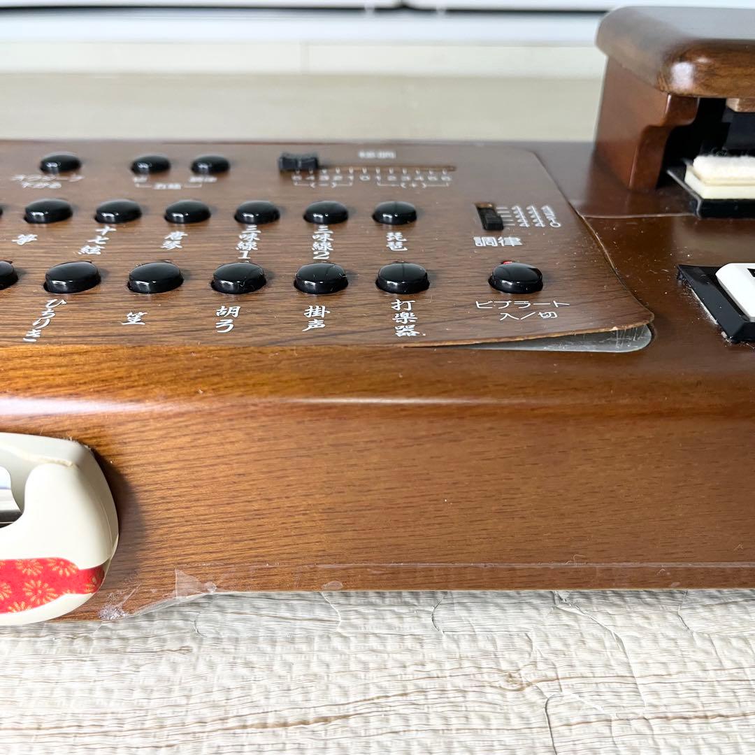 稼働品 SUZUKI 大正琴TES-100 専用ハードケース付
