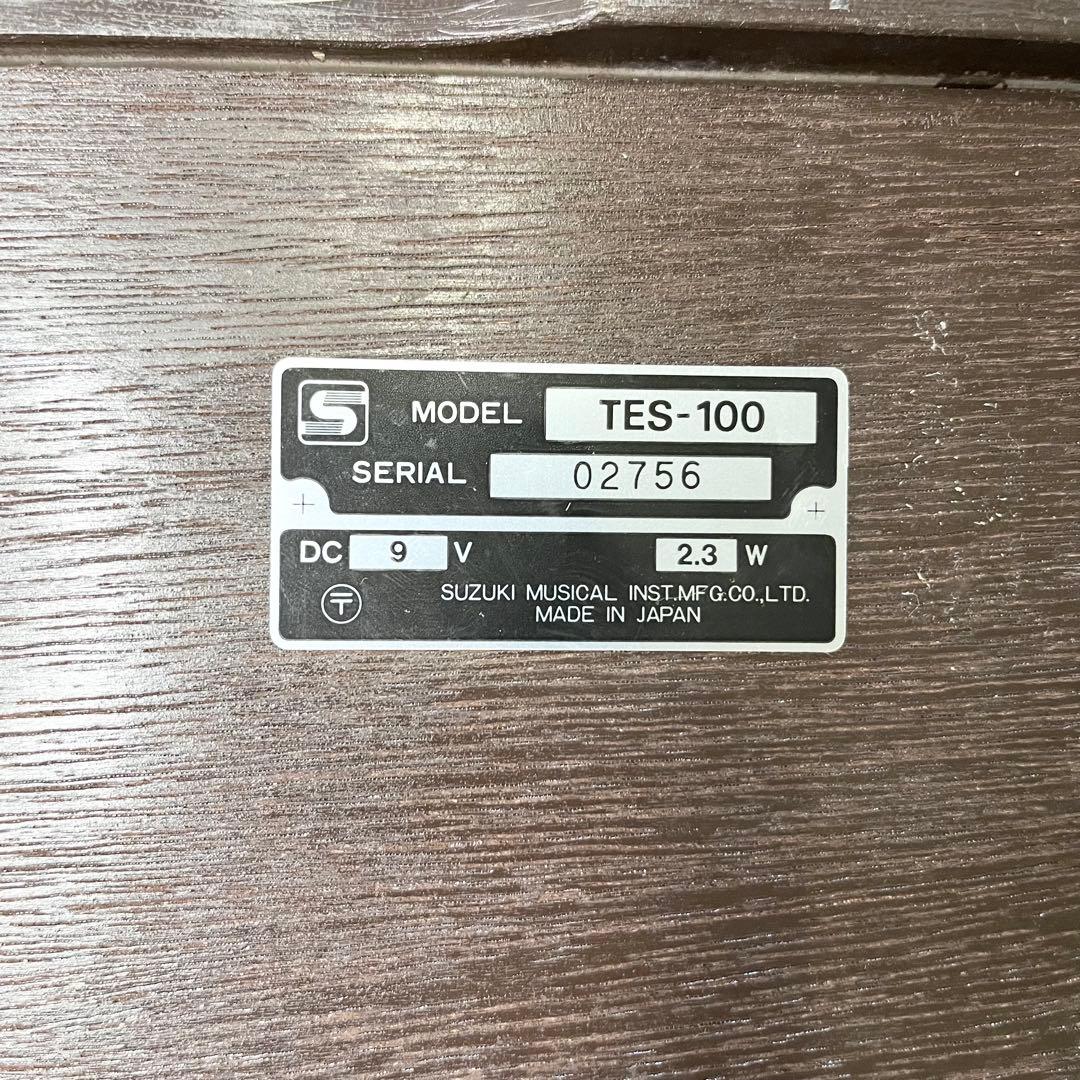 稼働品 SUZUKI 大正琴TES-100 専用ハードケース付