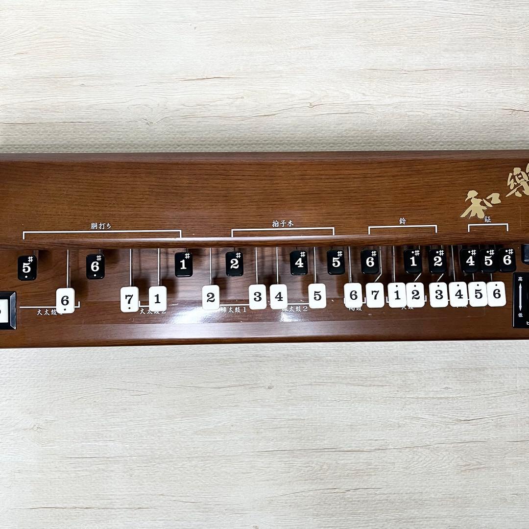 稼働品 SUZUKI 大正琴TES-100 専用ハードケース付