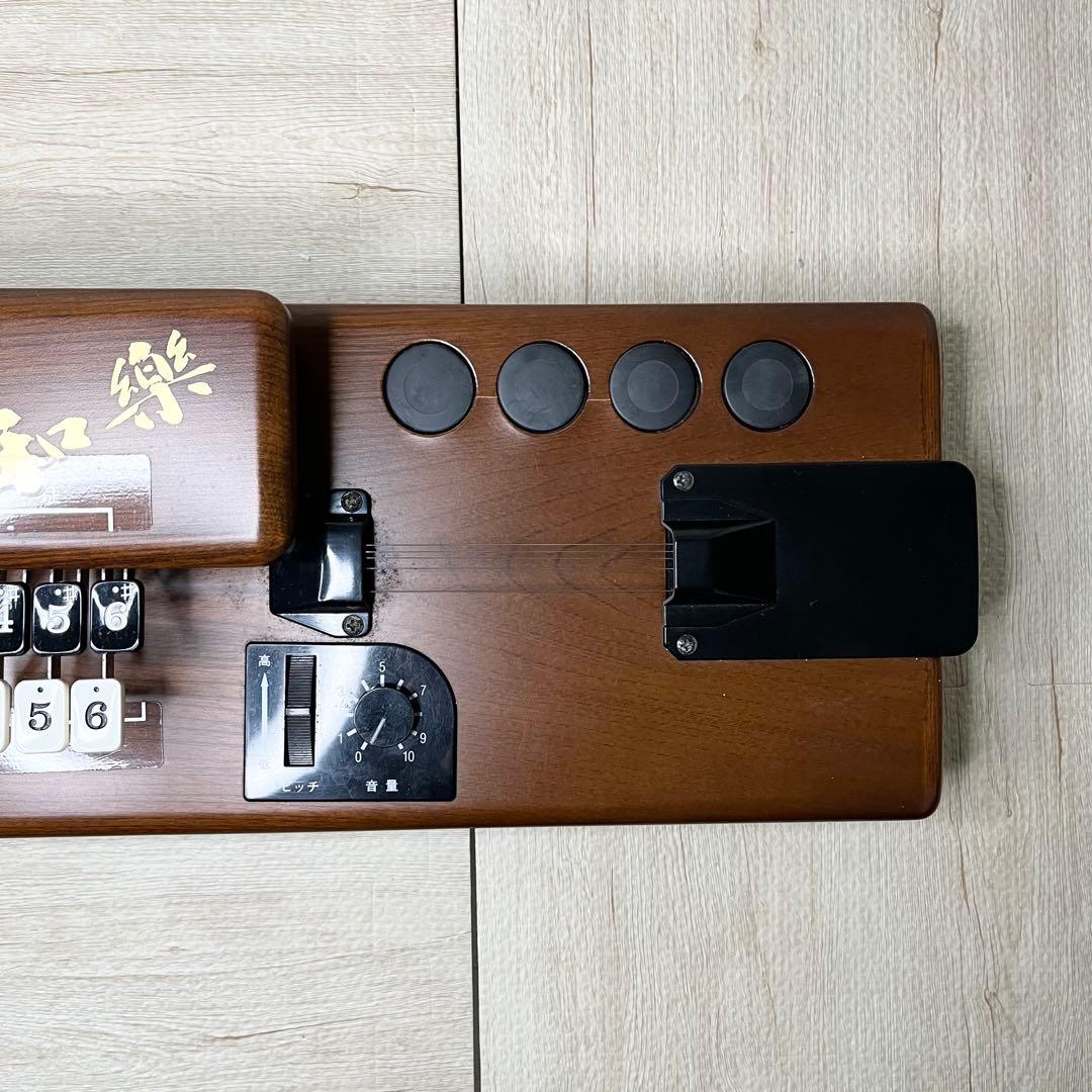 稼働品 SUZUKI 大正琴TES-100 専用ハードケース付