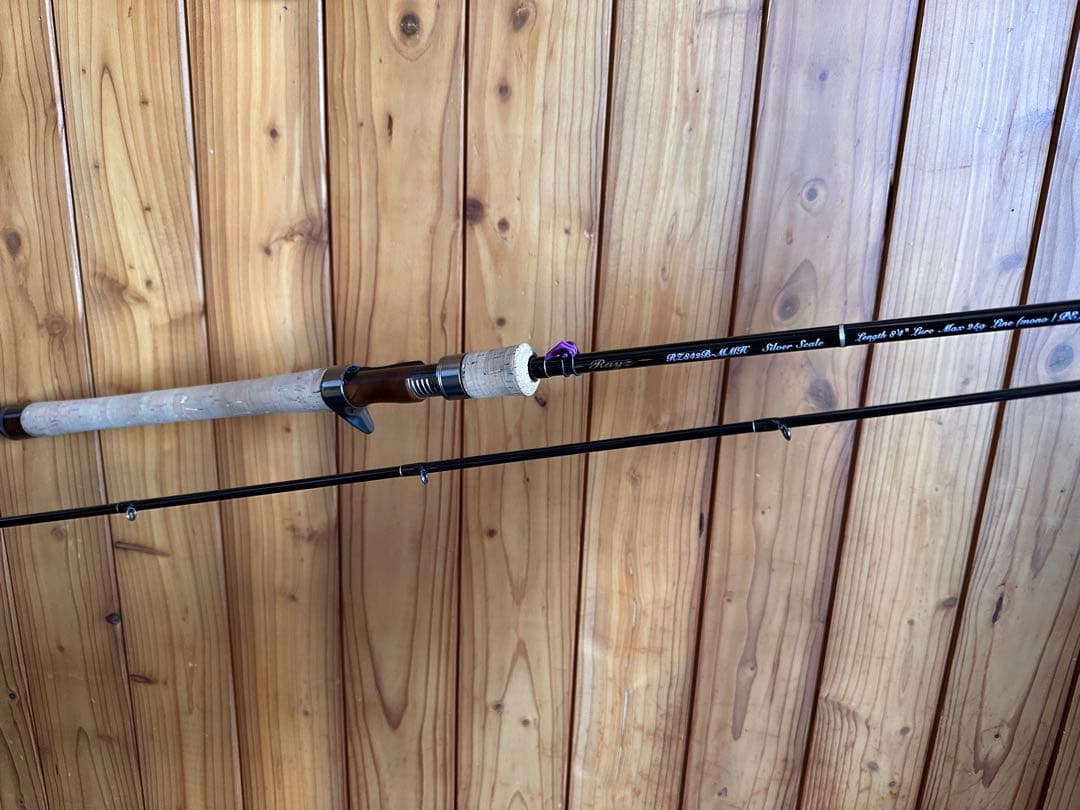 テンリュウ　レイズ　TENRYU Rayz RZ842B-MMH