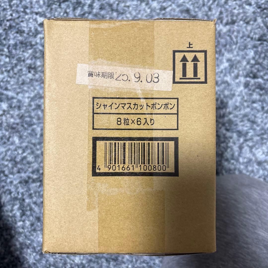 シャインマスカットボンボン 6袋入り1ケース