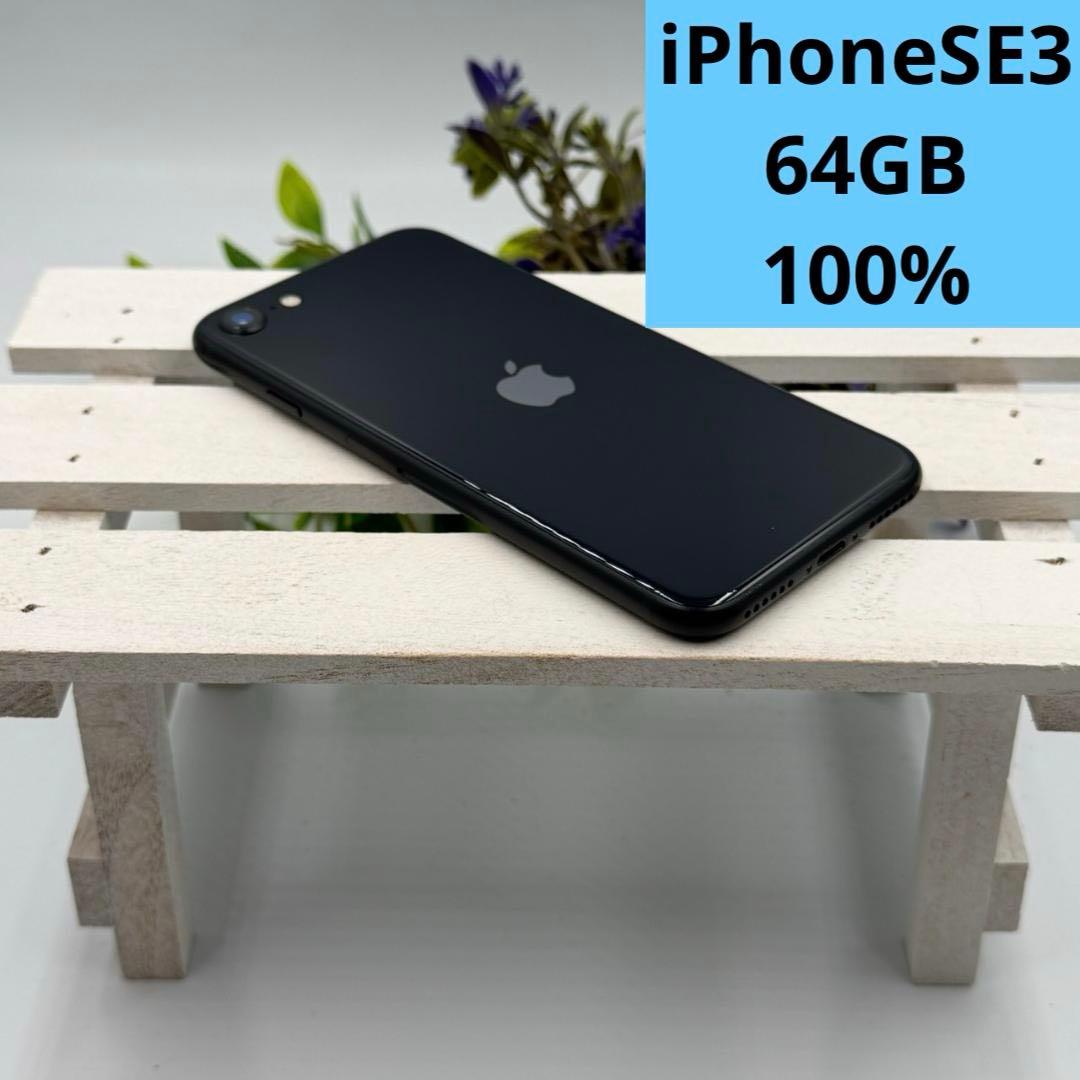 iPhone SE第3世代 64GB ミッドナイト 411