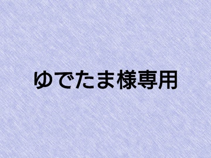 【専用出品】Clarion CA-2000音声合成 CA-2010車内放送機器①