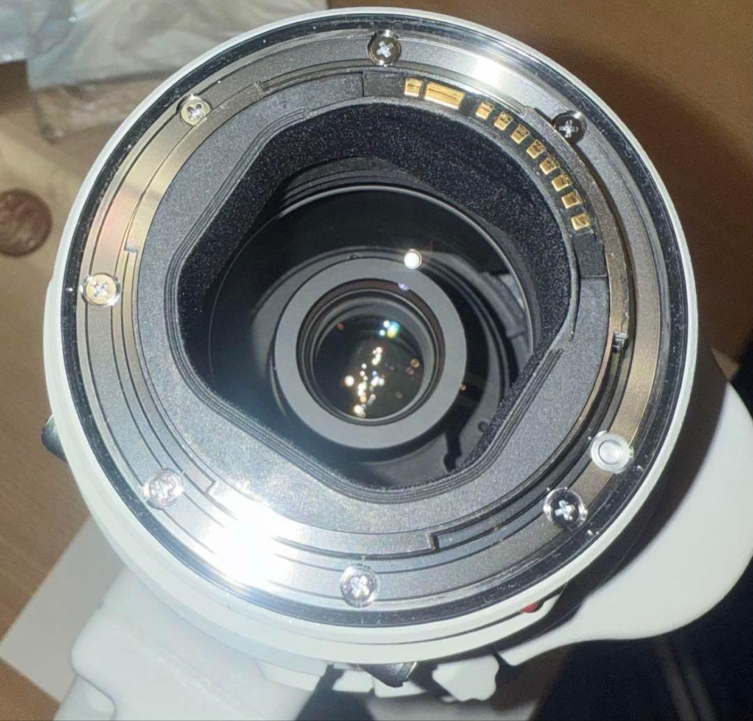 【専用】Canon EF200-400mm F4L IS USM