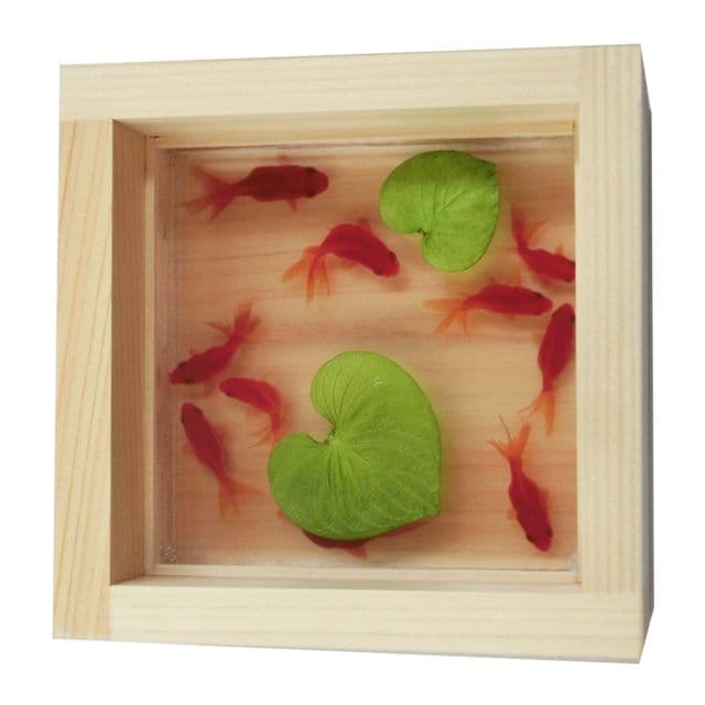 タイムセール 金魚 アート アクリル 琉金 プレゼント 水草 水槽 ハート