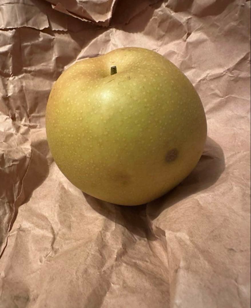 最終セール　梨　新甘泉　家庭用　10㎏