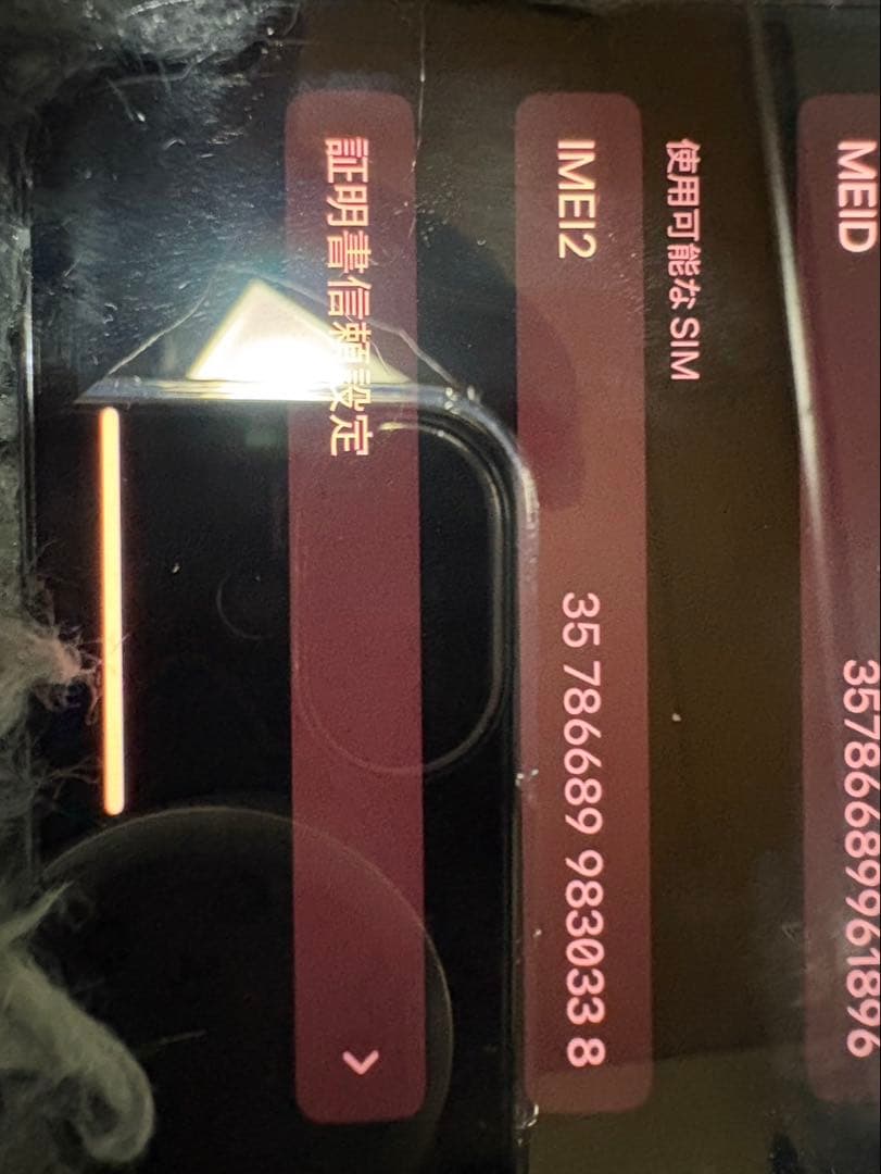 Apple iPhone 13 Pro シエラブルー本体 充電ケーブル付き