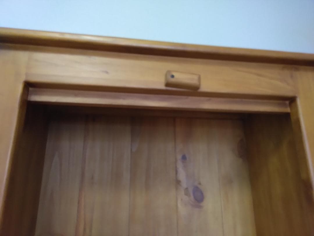 今月末までの限定sale　　アントステラドロップフロントハッチ