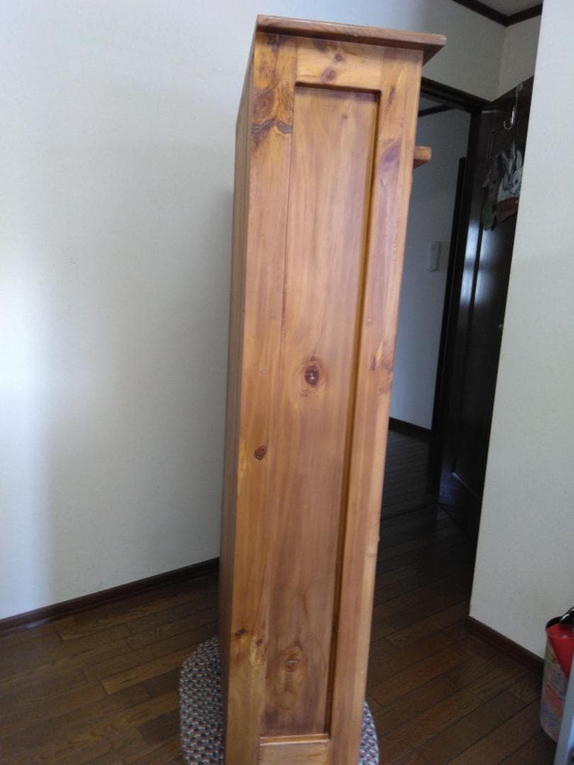 今月末までの限定sale　　アントステラドロップフロントハッチ