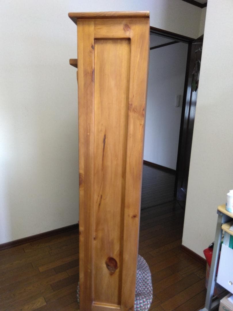 今月末までの限定sale　　アントステラドロップフロントハッチ