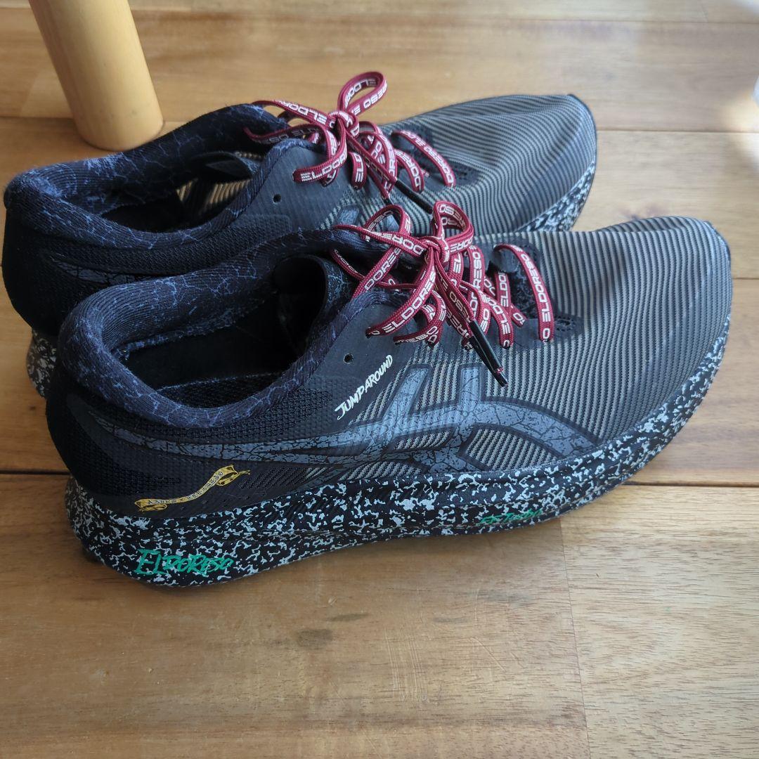 ASICS x ELDORESSO S4 26.0 エルドレッソ